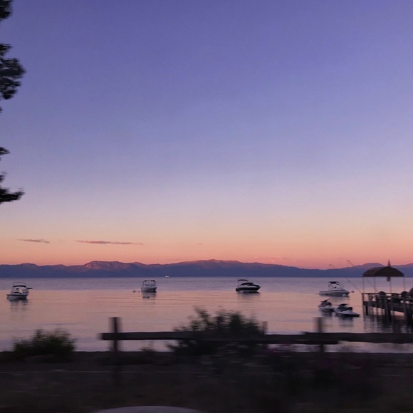 Meet your Posher, Dominique - Picture 1 of 1